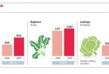 Sequía dispara precio de hortalizas y presiona a la inflación anual