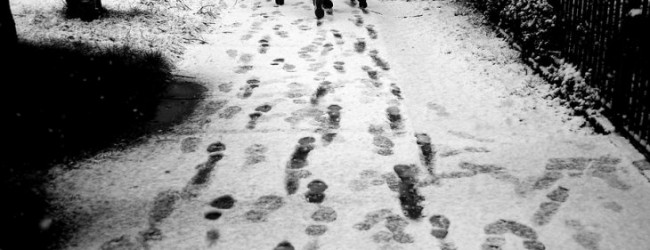 Onemi decreta Alerta Amarilla por nieve para ocho comunas de La Araucanía