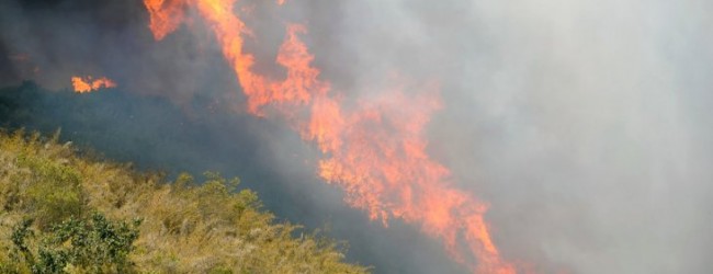 Más de 160 incendios por la ola de calor en Italia