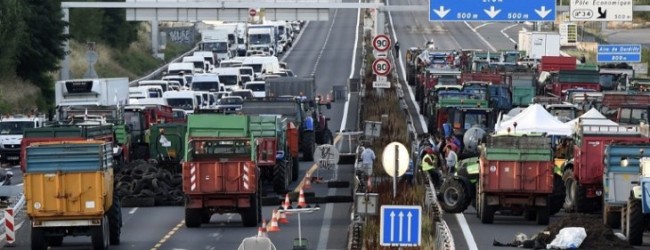Ganaderos franceses bloquean de nuevo carreteras por caída de precios