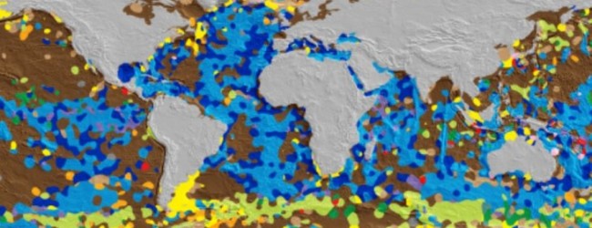Científicos crean el primer mapa digital del fondo marino