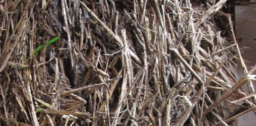 Curso teórico práctico de introducción a la Construcción en Tierra