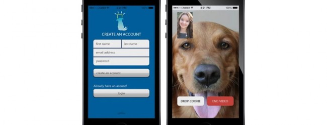 Niña de 15 años inventa dispositivo para conversar a distancia con tu mascota