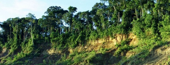 Indígenas retienen a turistas extranjeros por construcción de carretera en Perú