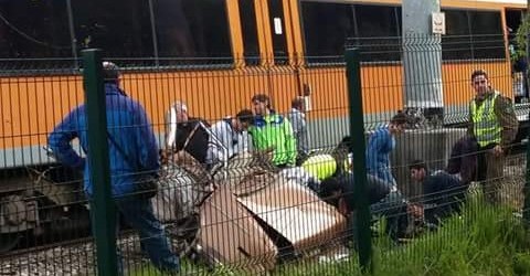 Piden al MOP y EFE evaluar otra opción de acceso a Hualqui tras fatal accidente