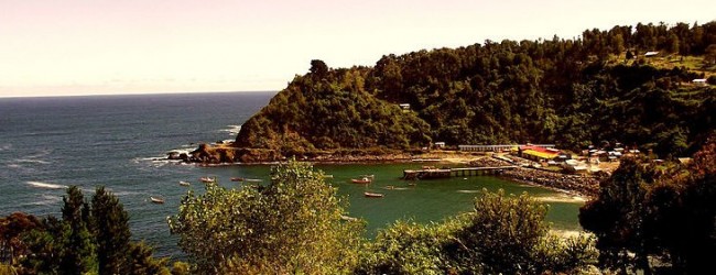 Bienes Nacionales cede terreno para construcción de museo y centro cultural en Bahía Mansa