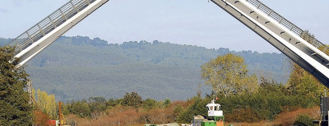 MOP licitará en marzo de 2016 la reparación del puente Cau Cau