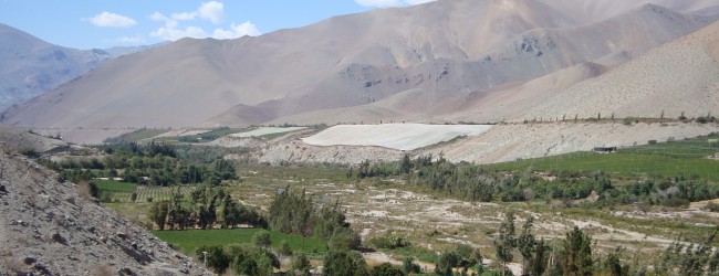 Seis grupos de inversionistas sondean licitación de 2.272 hectáreas en Valle del Huasco por US$ 19 millones