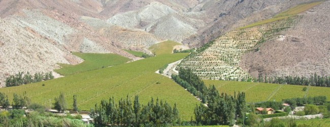 Venta de hacienda en Huasco, que incluye inédito paquete de agua, suma 9 interesados