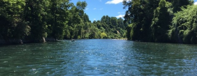 Mapuches de Los Ríos rechazan proyecto de central Osorno y descartan acuerdo con Statkraft