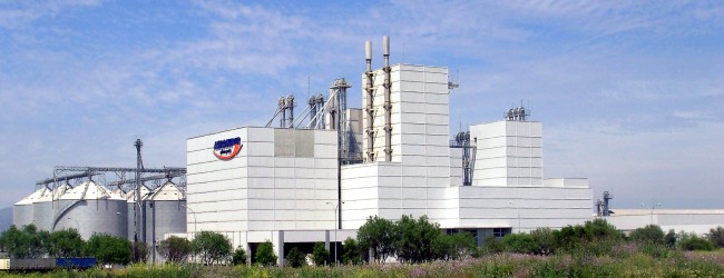 Agrosuper planea construir nuevo edificio corporativo en Rancagua