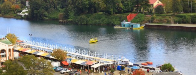 Advierten problemas en arriendo de viviendas para familias de campamento en Valdivia