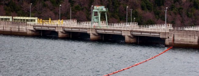 Reanudan evaluación ambiental de proyecto hidroeléctrico Neltume tras 2 años de suspensión