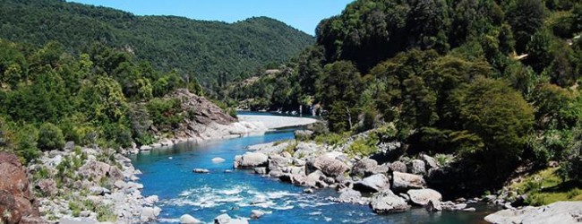 MOP recibió sólo una oferta para construcción del embalse Punilla en San Fabián de Alico