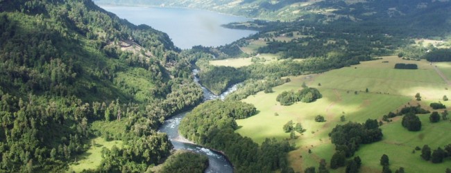 Neltume: estudios para hidroeléctrica durarán un año y capacidad se reduciría hasta 20%
