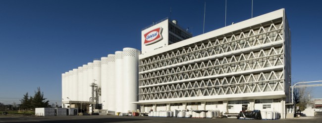 Carozzi estudia construir fábrica de tortillas y chips en su complejo de Nos