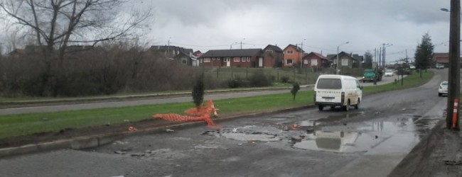 Llaman al Serviu a inspeccionar obras de reparación de avenida Damann de Valdivia