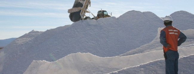 Cámara Chilena del Litio critica política de explotación del mineral