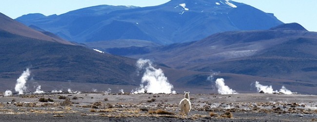 Bajo precio de la energía sigue cobrando víctimas: cierran empresas de geotermia