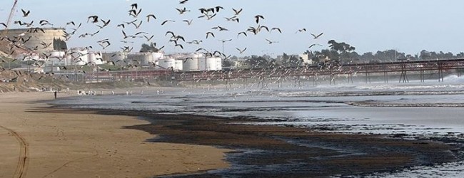 Medio Ambiente evalúa modificar normativa para fiscalizar obras previas a 1994, sin RCA