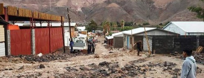 US$ 5 millones en daños por «invierno altiplánico»