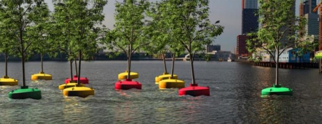 Plantan primer «bosque flotante» en Rotterdam