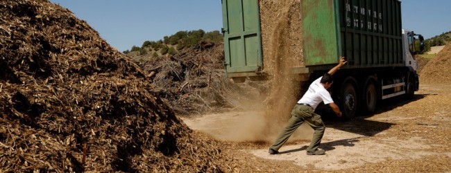 Española Ence busca entrar a negocio de generación eléctrica con biomasa