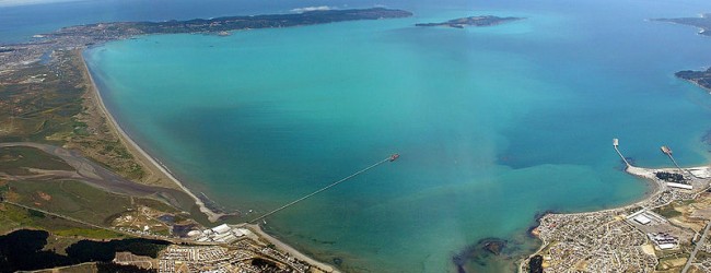 Aprueban el controvertido proyecto energético Octopus en la bahía de Concepción