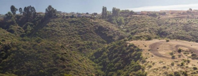 Vecinos acusan que proyectos inmobiliarios ponen en riesgo parque natural en Viña del Mar