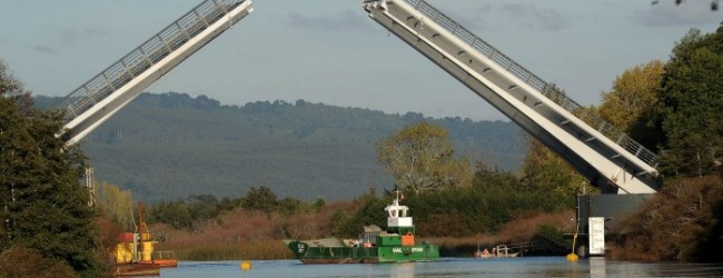 Ex inspector afirma que MOP habría engañado a oferentes en licitación del puente Cau Cau