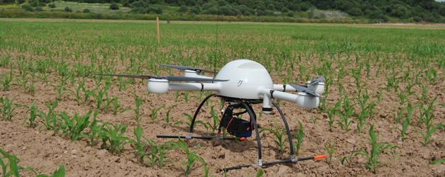 Robótica podría elevar la productividad en 200%