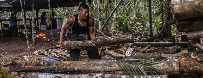 FARC anuncia la construcción de un parque temático en Colombia