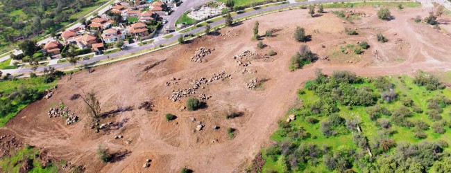 Escasez de suelo desafía el futuro desarrollo de Santiago