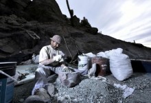 Aurora Williams, “Pequeña Minería será la más favorecida con el aumento del Presupuesto 2017”