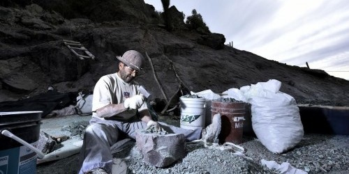 Aurora Williams, “Pequeña Minería será la más favorecida con el aumento del Presupuesto 2017”