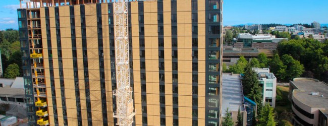 La construcción de la torre de la madera más alta del mundo