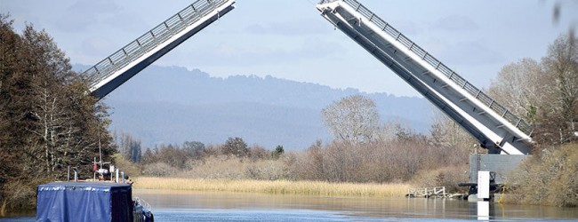 Fiscal cita a ingenieros y ejecutivos para revisar en terreno el Puente Cau Cau
