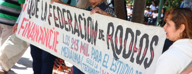 Polémica ante posible construcción de techumbre para Medialuna de Rancagua con fondos públicos