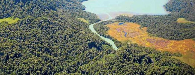 Con asesoría de Pablo Longueira, promueven megaproyecto eléctrico en Aysén