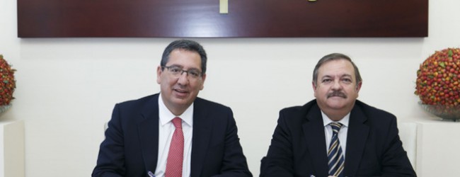 Cajasol promoverá la gestión energética como profesión de futuro