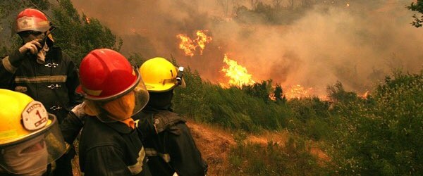 CORMA: A más de 40 mil hectáreas ascienden pérdidas de bosques en sus asociados