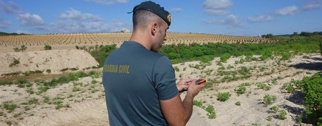 La Fiscalía pide tres años de cárcel por construcción ilegal en Doñana