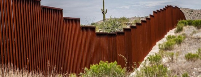 Más de 600 empresas están interesadas en participar en la construcción del muro de Trump
