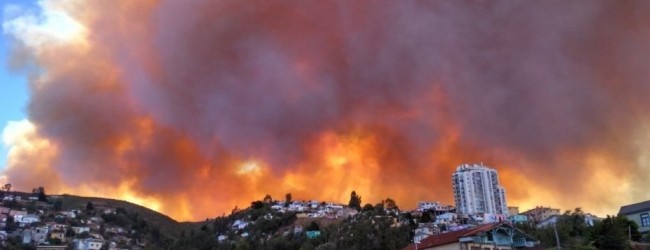 Último balance de incendio en Viña del Mar: 10 viviendas y 400 hectáreas afectadas
