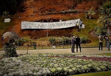 Viña del Mar: Pobladores protestaron ante millonarios gastos en reloj de flores
