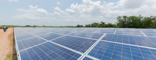Doña Carmen: Solarcentury finaliza importante proyecto de energía solar