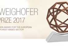 Joven arquitecto es finalista para representar a Chile en los premios Schweighofer 2017