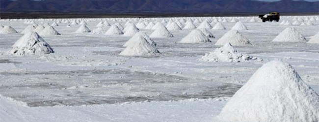 Gobierno prepara reglamento para facilitar a mineras privadas la explotación de litio