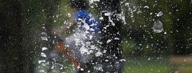 Nuevas fibras superelásticas y resistentes están creadas mayoritariamente con agua