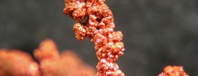Nanopartículas de cobre, la nueva joya del Cluster Minero de Antofagasta
